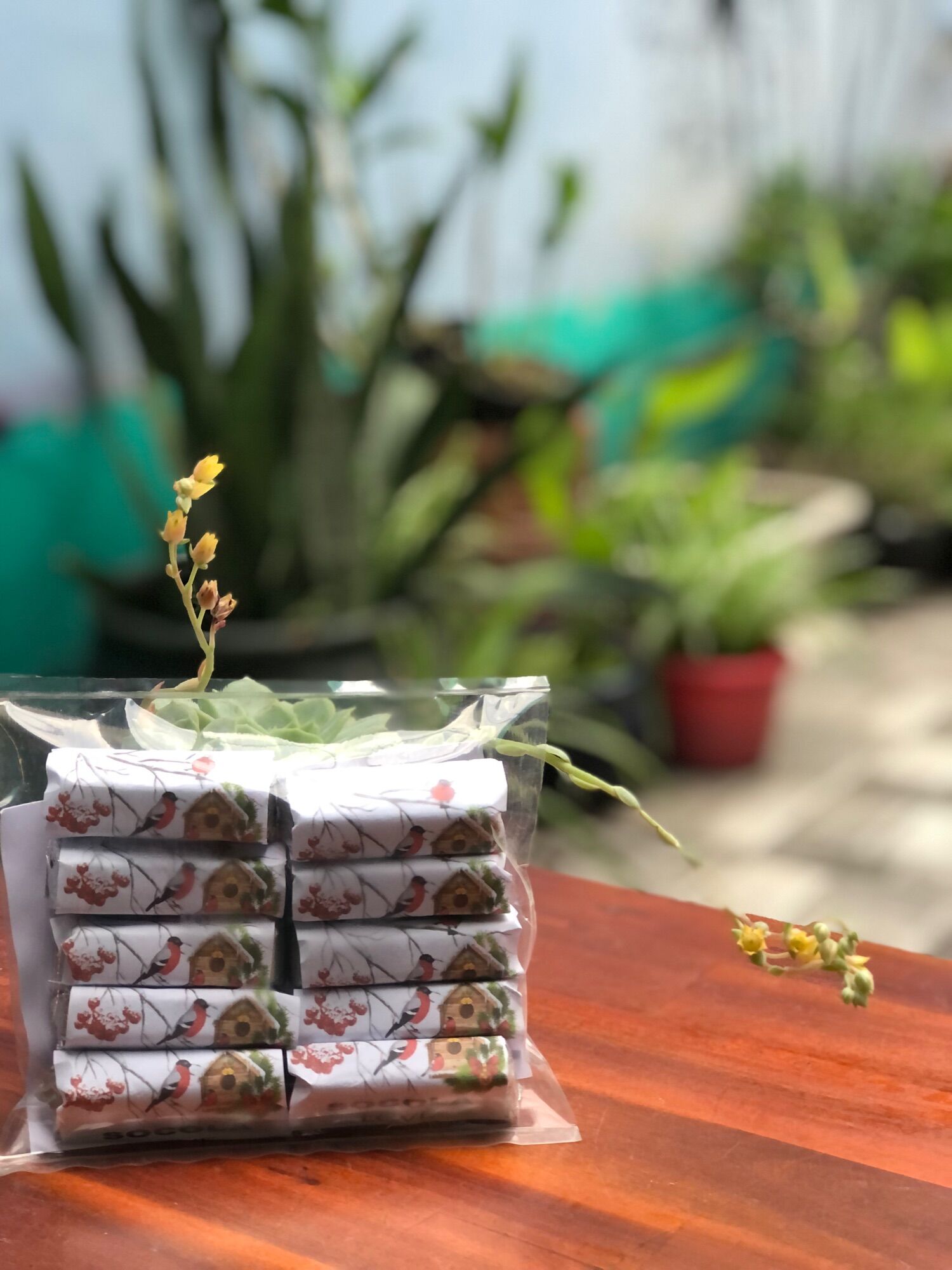 Túi - Sô - Cô - La Trường Thọ  (10 thanh * 20 gram)