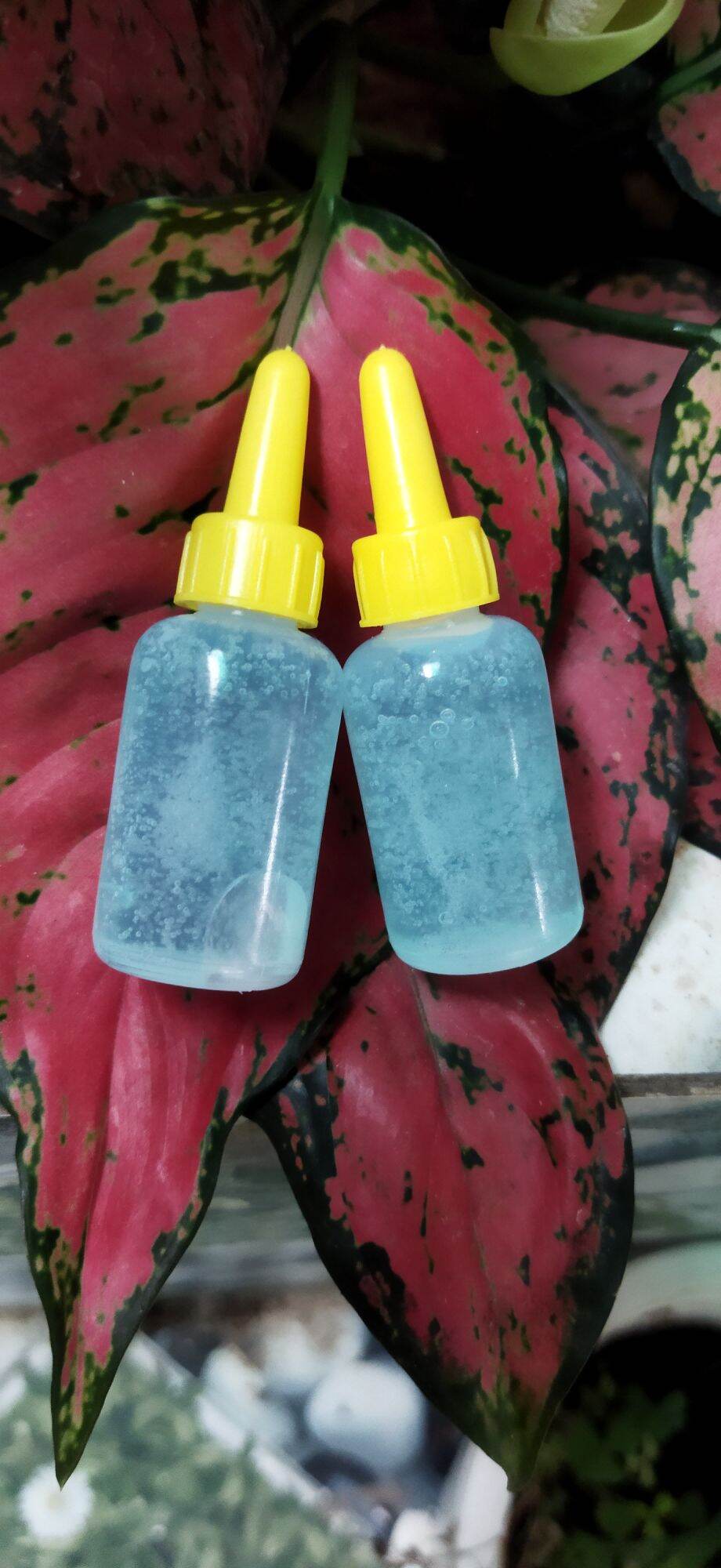Serum kích trắng tảo biển dành cho body ( dùng để trộn cùng kem body để tăng khả năng làm trắng da)