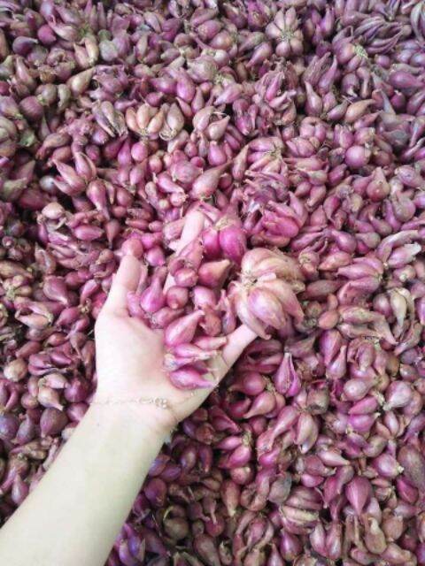 1KG Hành tím khô Phan Rang