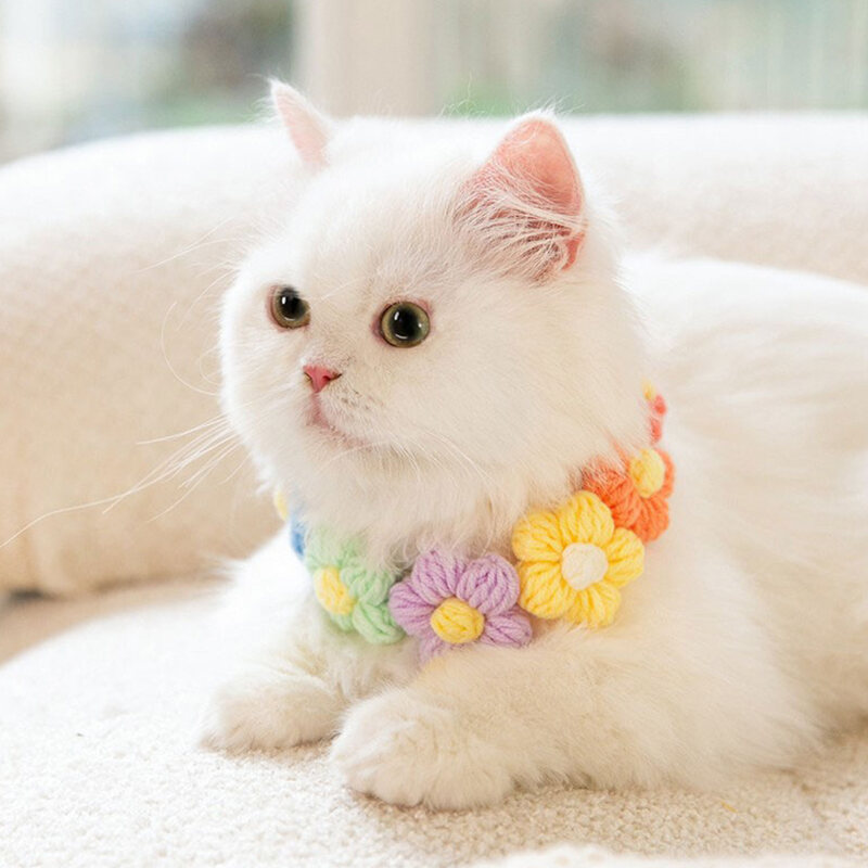 Vòng Cổ Hình Mèo Đáng Yêu Cánh Hoa Vòng Cổ Hình Chó Thú Cưng Vòng Cổ Phụ