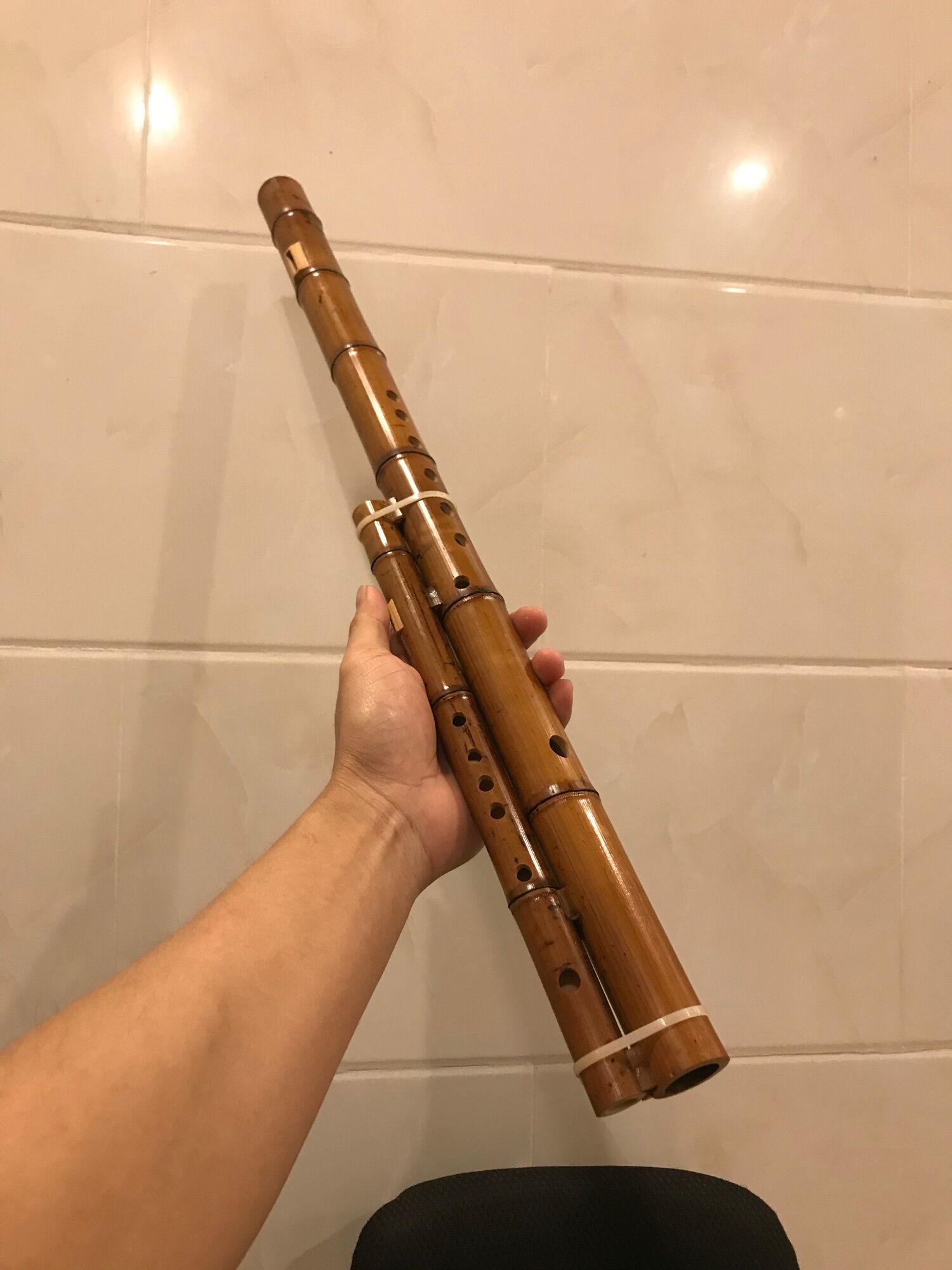 Sáo mèo kép trúc hun