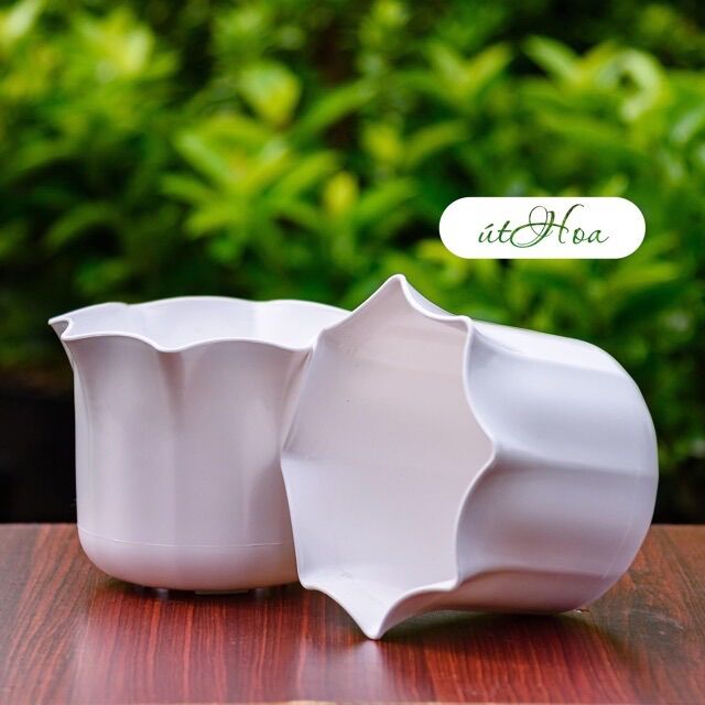 Chậu Để Bàn Màu Trắng Miệng Bèo