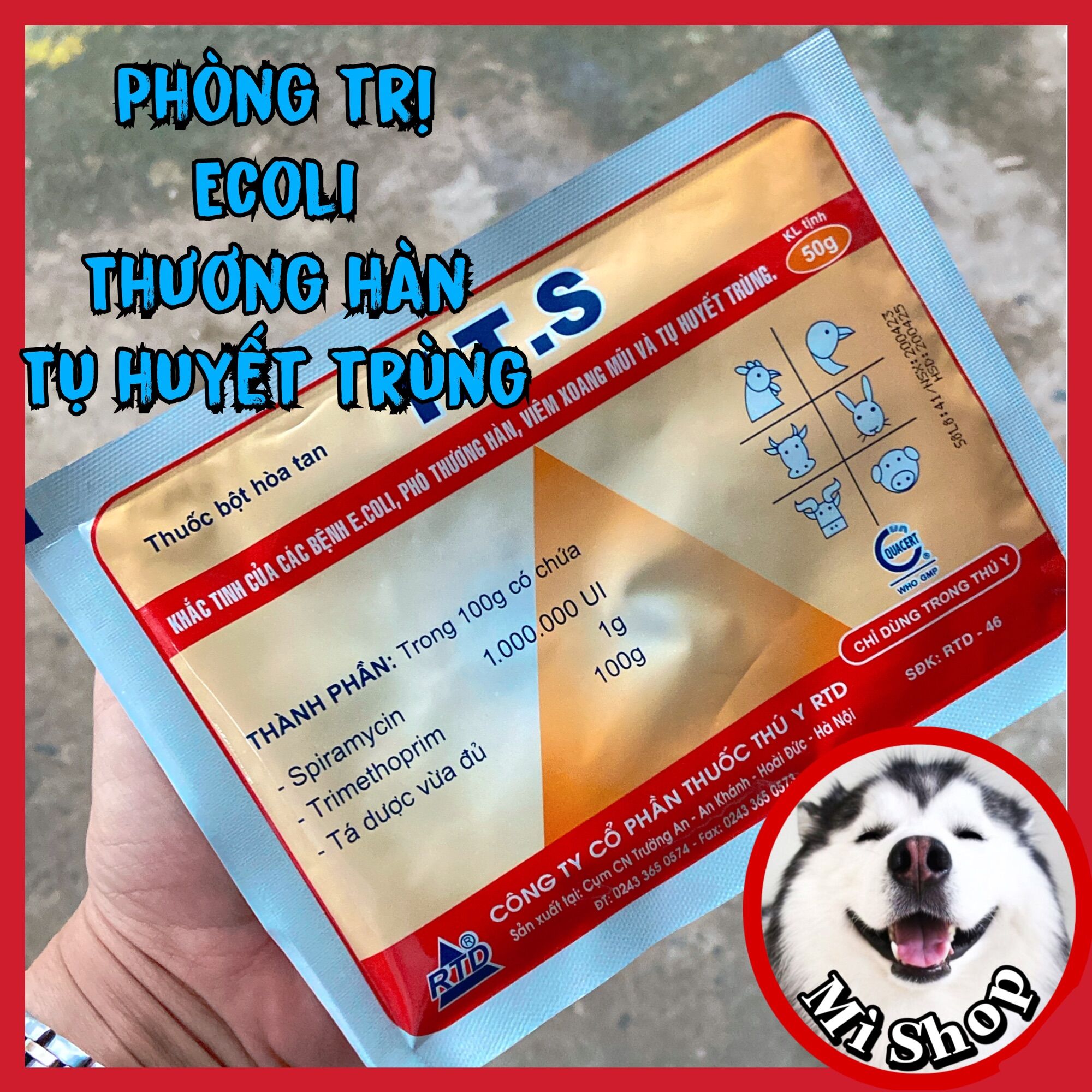 TTS phòng ecoli, thương hàn, tụ huyết trùng gà, vịt
