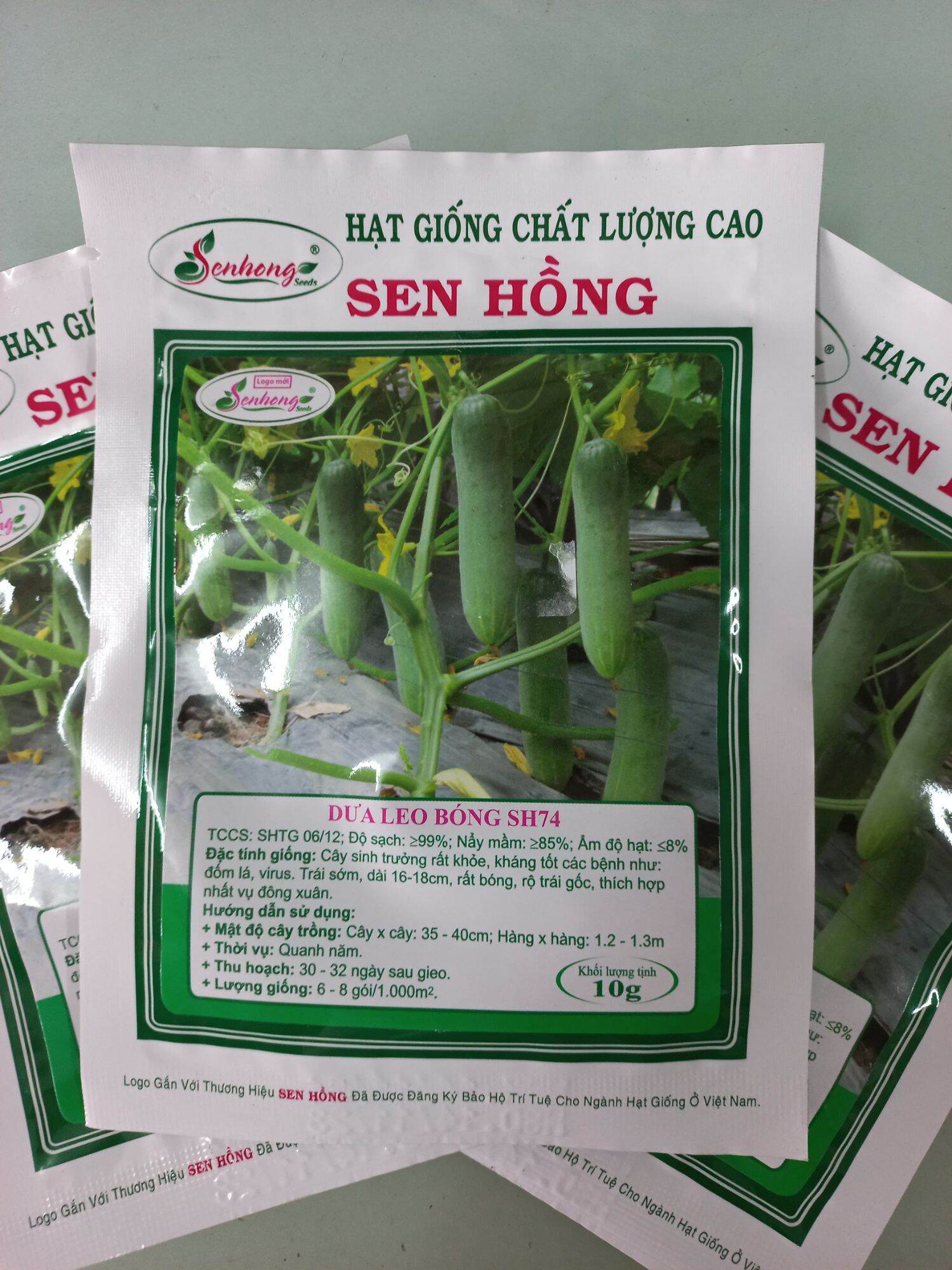 Hạt giống dưa leo bóng sh74 sen hồng 10g
