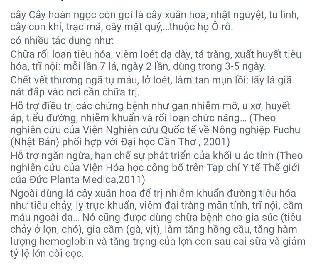 Cây Hoàn Ngọc