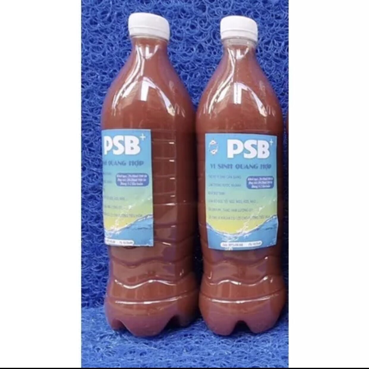 Vi sinh psb sử lý nước hồ cá cảnh