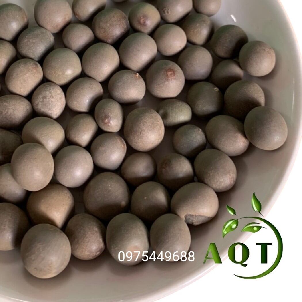 ComBo 2kg hạt mắc mèo chuẩn . lh 0975449688