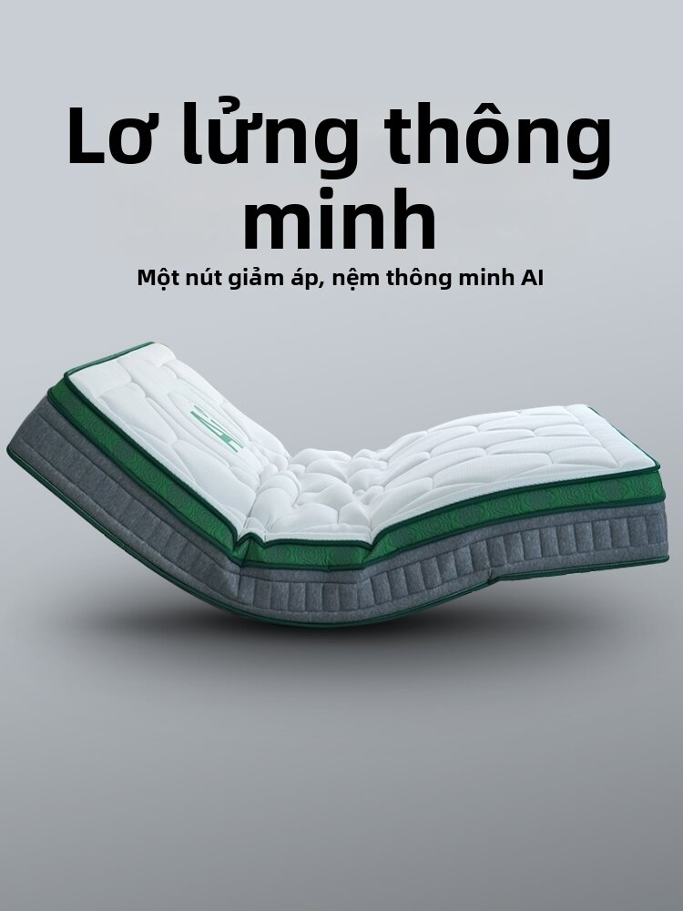 MUYUE | Intelligent 2025 New Electric Multi-functional Mattress Giá 44,228,000 Đồng*Miễn phí vận chuyển