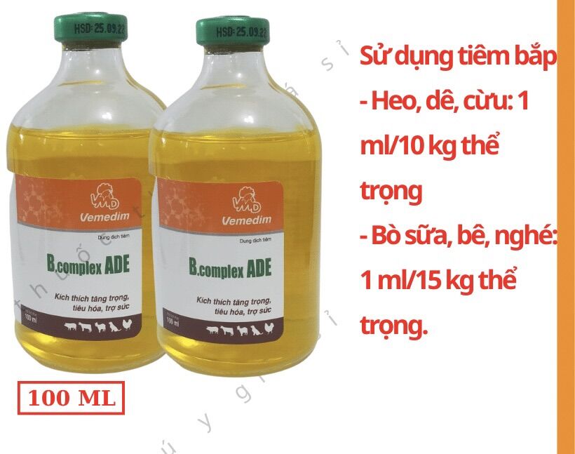 B.COMPLEX ADE - 100ml- kích thích tiêu hóa, trợ sức