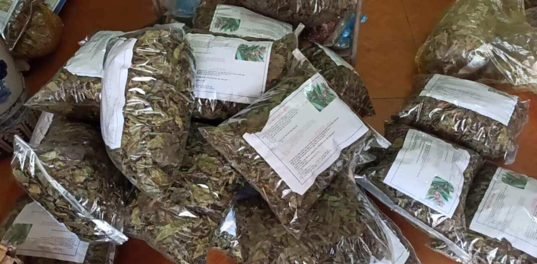 Xạ đen Hòa bình