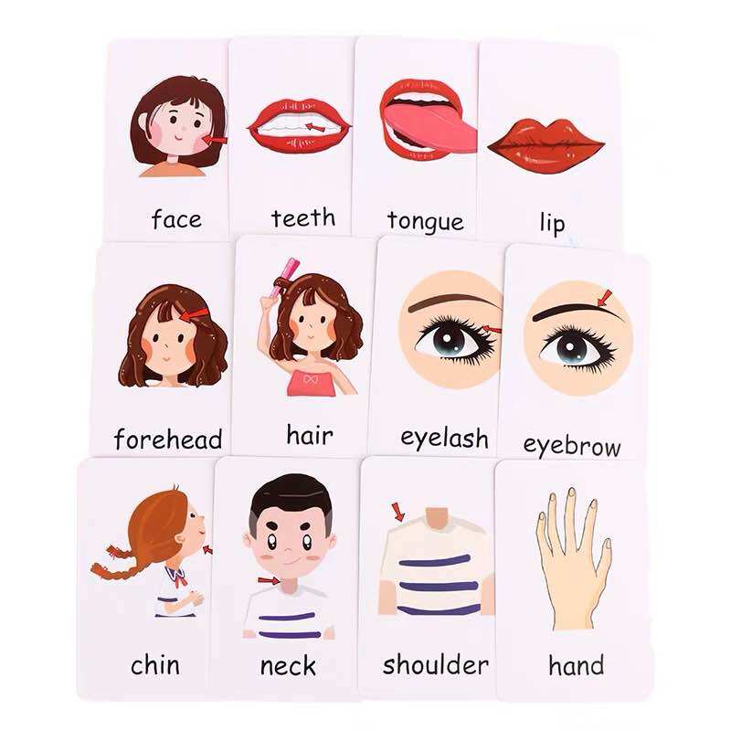 Flashcard từ vựng theo chủ đề