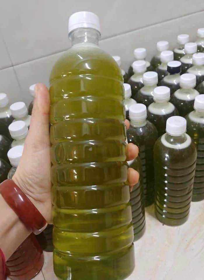 MẬT ONG HOA BẠC HÀ 🌺