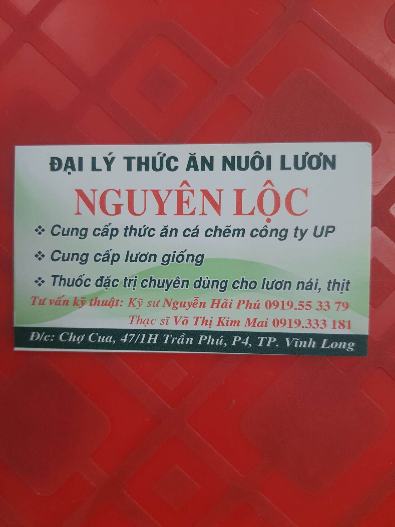Dịch trùng quế SIÊU ĐẬM ĐẶC cho lươn bột