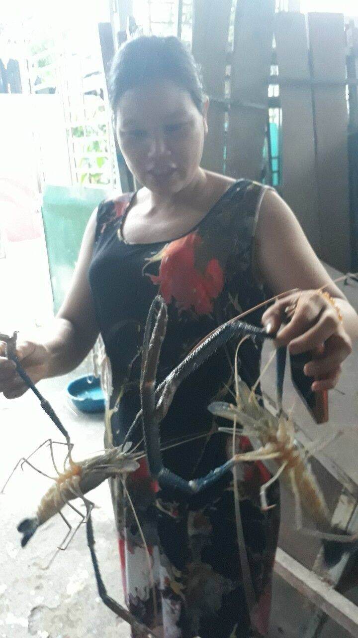 TINH MÙI CÂU TÔM FISHINGEZ 2021