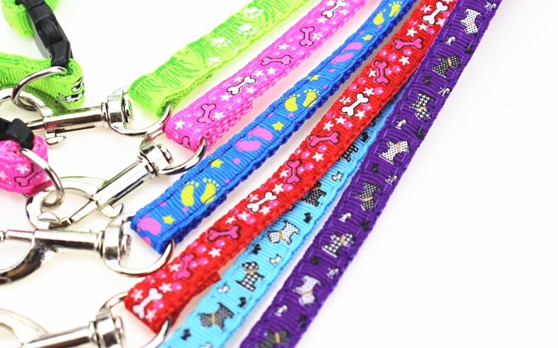 Sét Dây dắt kèm vòng cổ cho chó mèo (Set 1 dây dắt + 1 vòng cổ)