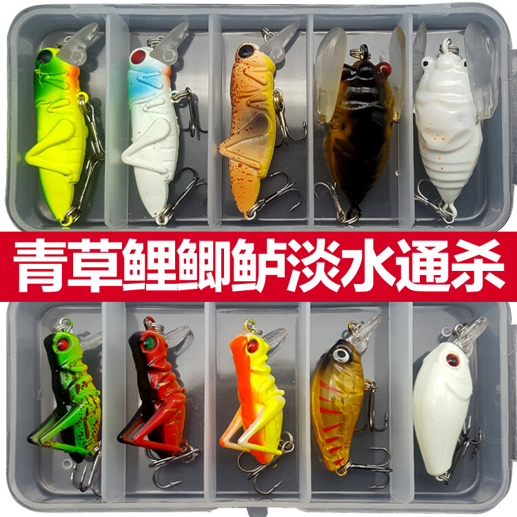 Bộ mồi câu cá chép cá chép cá chép cá chép cá chép mồi câu lure mồi câu lure mồi giả côn trùng con dế mô phỏng như thật nước ngọt