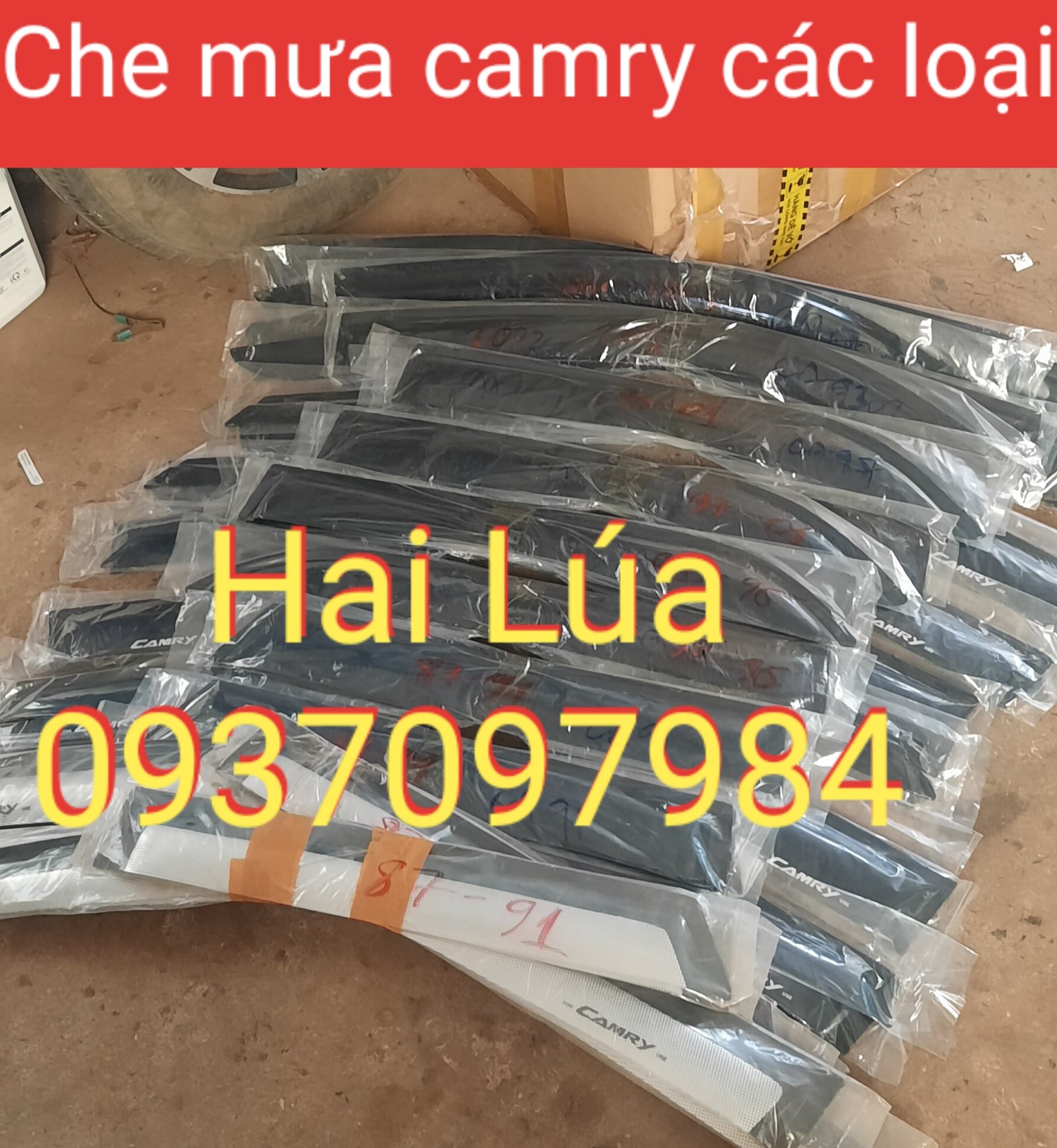 Vè che mưa camry 1987 đến 2006