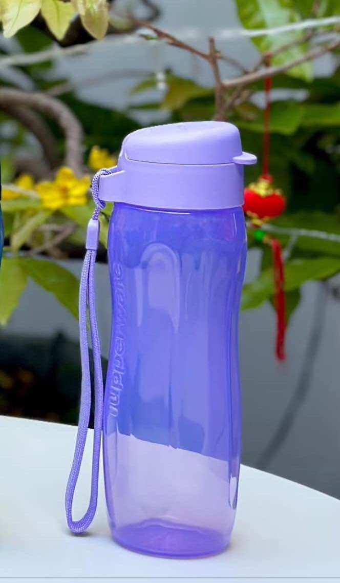 [HCM]Bình Nước Eco Bottle Gen 2 500ML