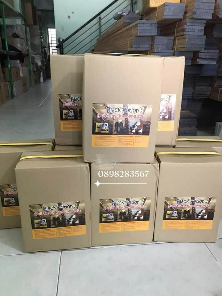 [HCM]Dung dịch nhà yến Black Potion tăng bầy đàn