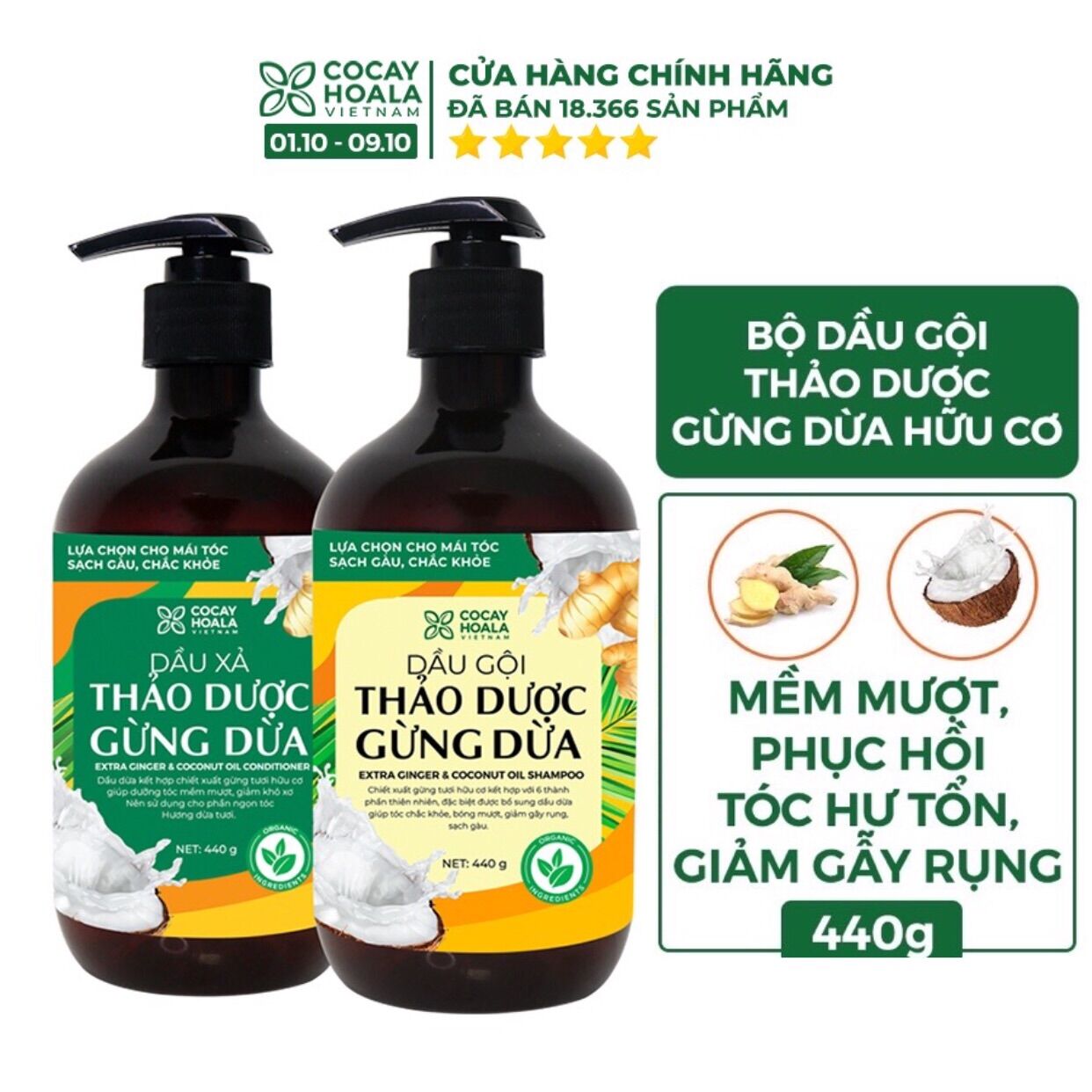 Dầu gội và xả thảo dược gừng dừa Cocayhoala đánh bay gàu giảm ngứa dung tích 440ml/chai