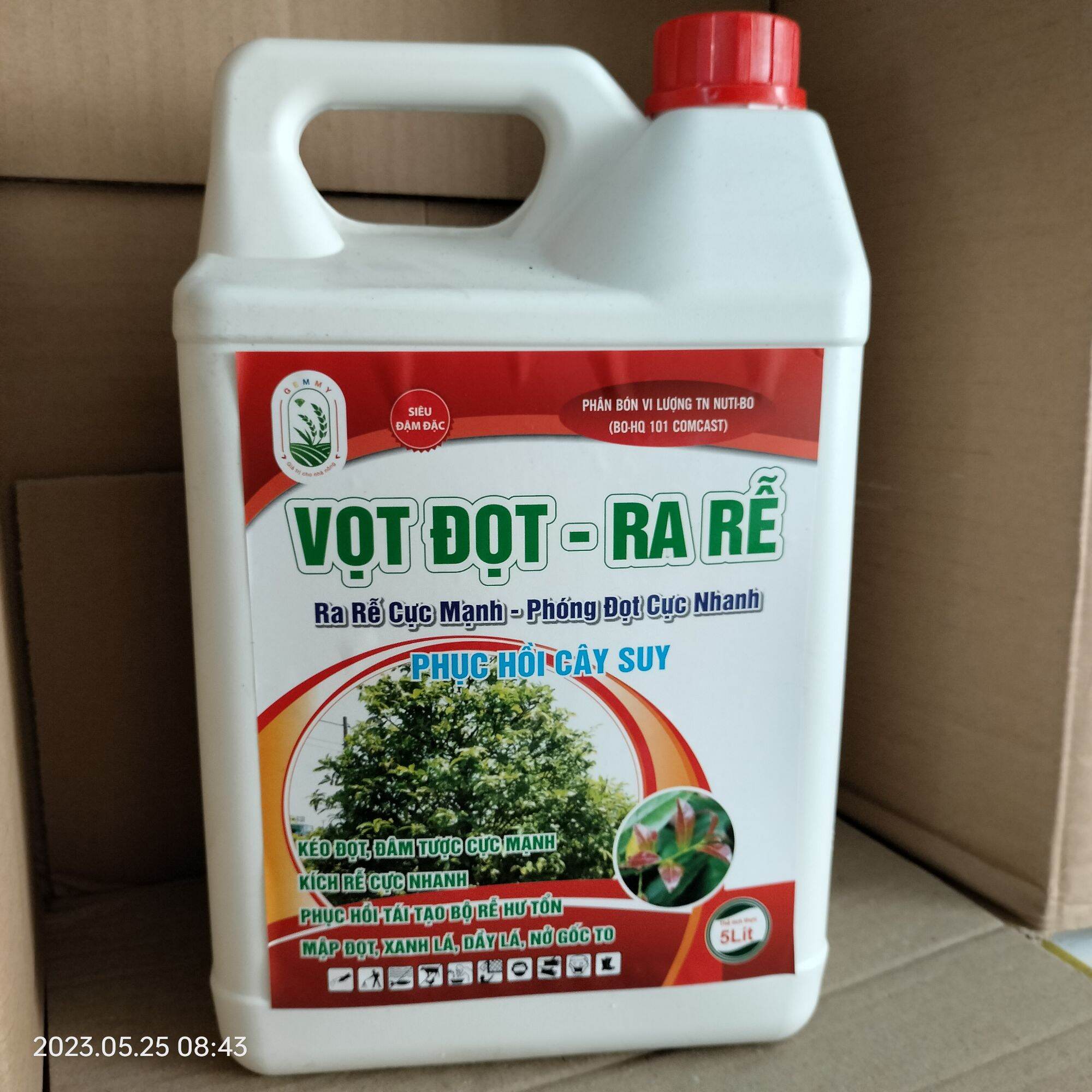 Kích đọt ra rễ bình 5 lít