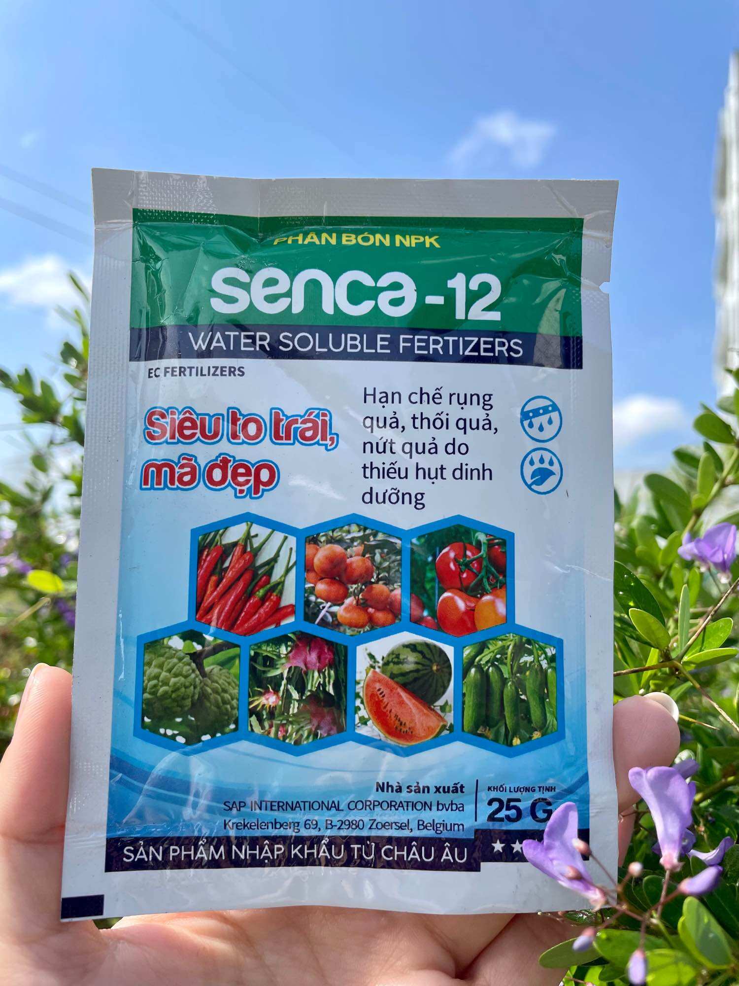 Npk 20.20.20 siêu to trái - đẹp trái_ 25gr