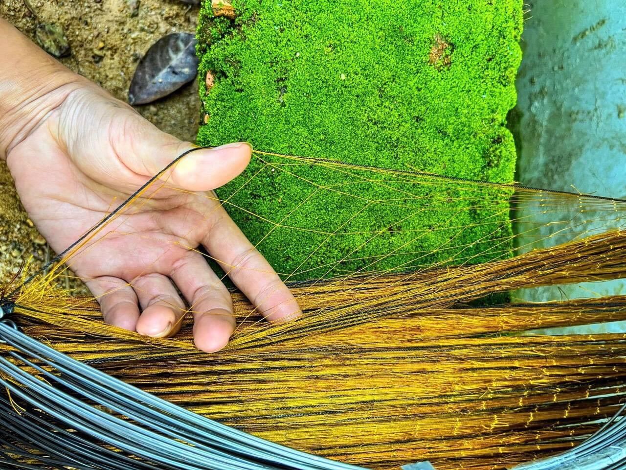 10 cung bẫy chim cút