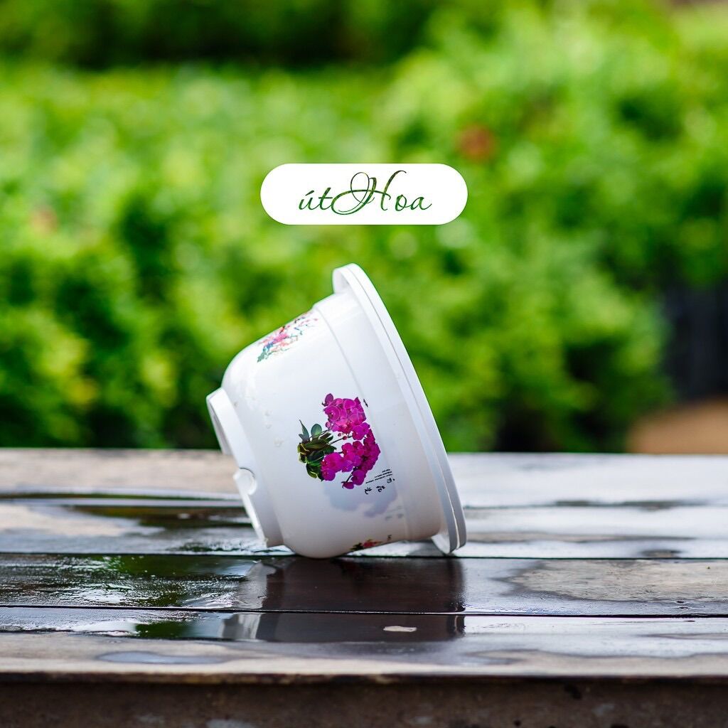 Chậu bốn mùa in hoa