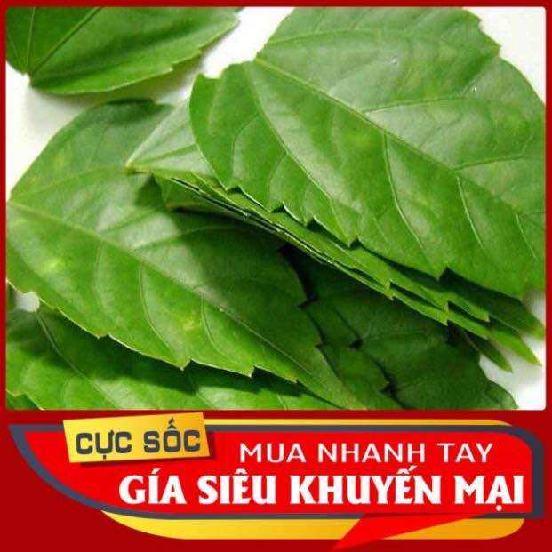 [Hỏa tốc 3H] Lá cách tươi luôn cành (0.5kg)