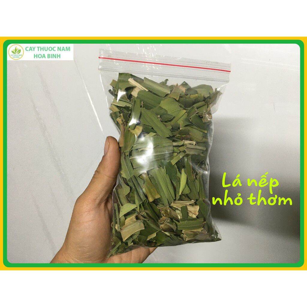 100g Lá nếp nhỏ khô thơm ( lá dứa, nếp thơm, cây cơm nếp)