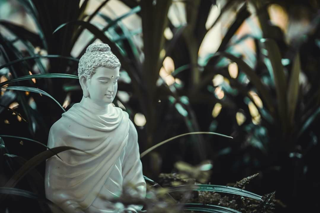 Tượng Phật Bổn sư Thích Ca cao 46cm