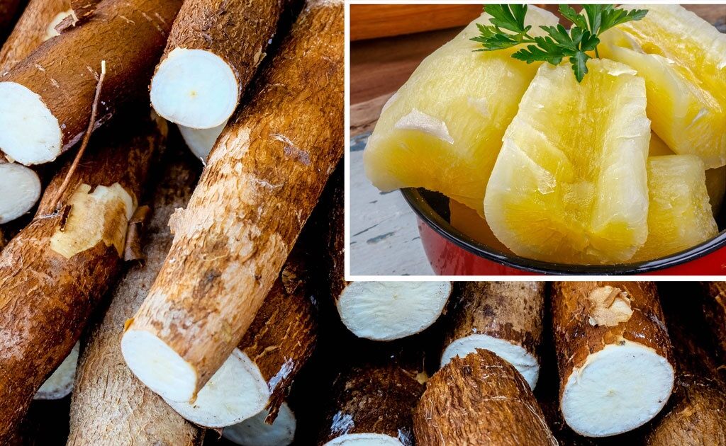 Củ khoai mì ruột vàng dẽo thơm 5kg