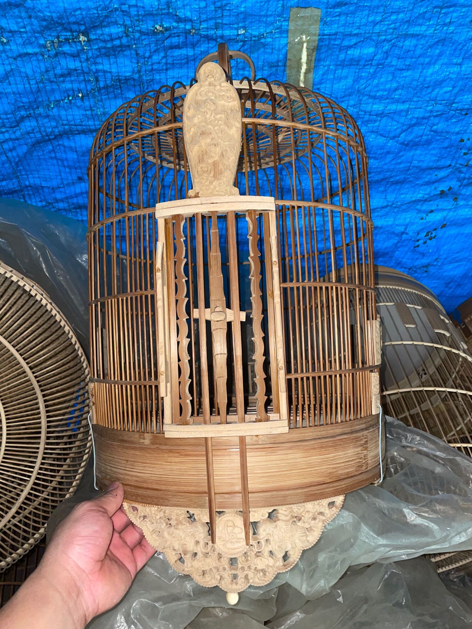 LỒNG Chim mi đục nhiều tích đục