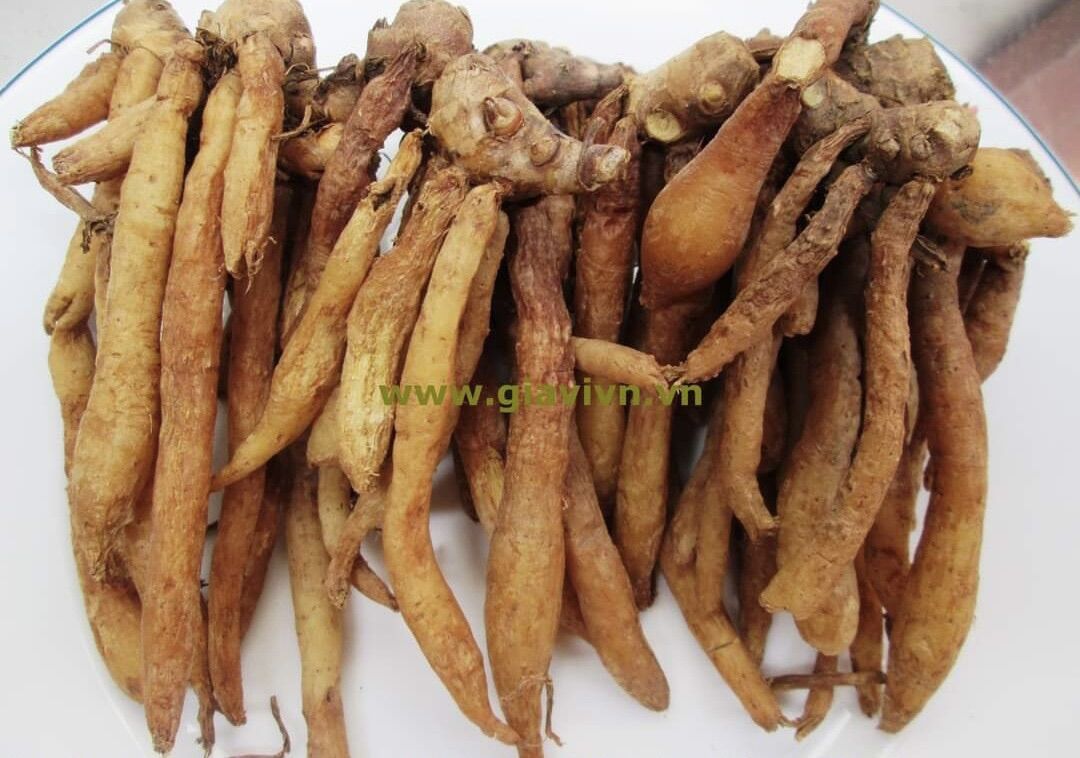 Củ Ngãi bún tươi 1kg