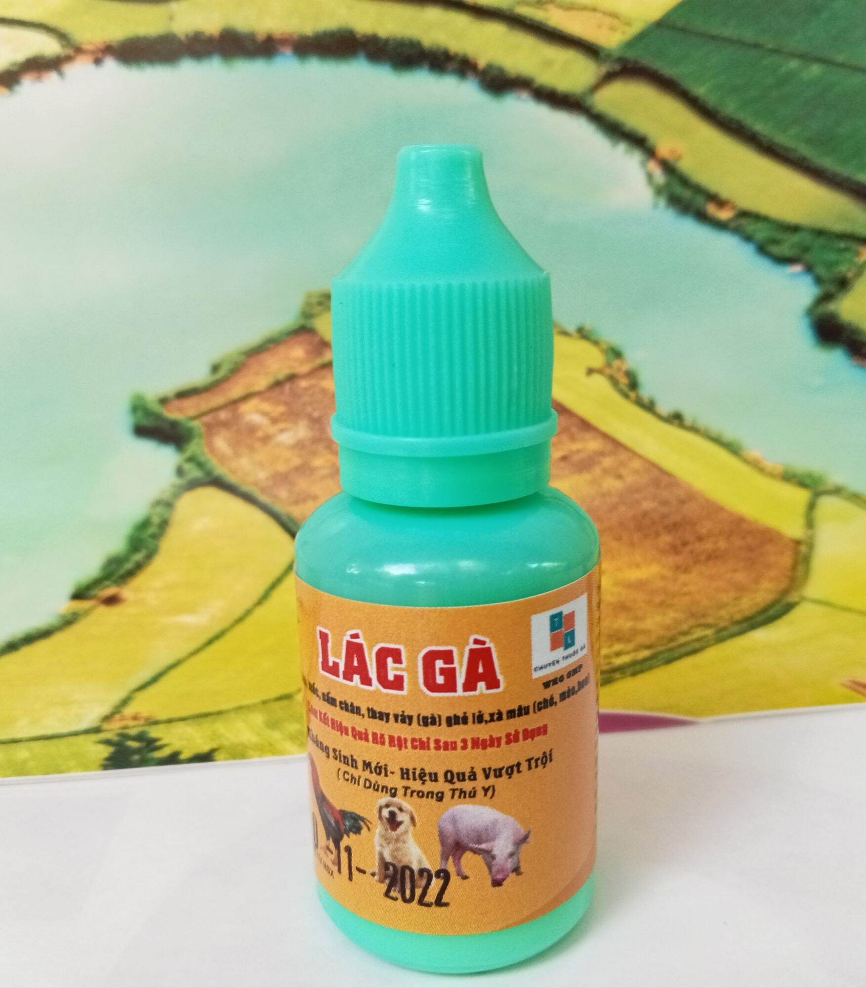 thuốc bôi đặc trị mốc lác gà chọi