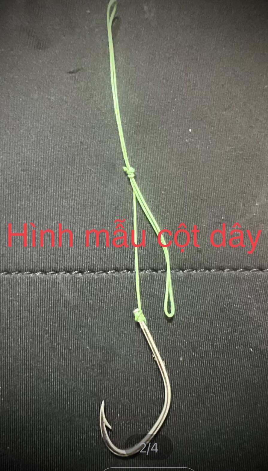 Lưỡi Móc Nhái Câu Cá Nhát