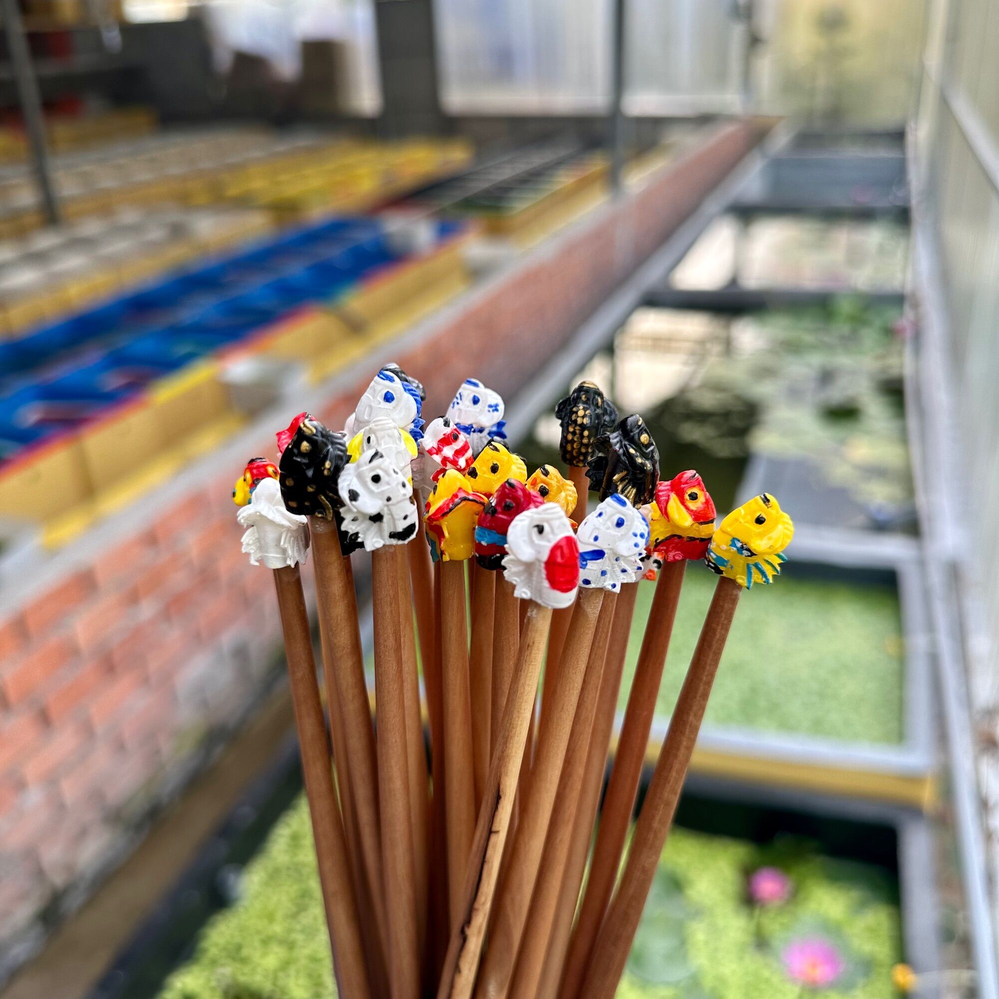 Cây kè cá betta - IN 3D cao cấp ( Giao màu ngẫu nhiên )
