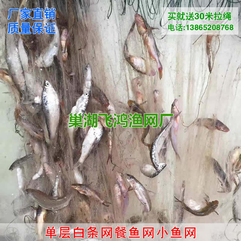 Lưới ăn cá lưới trắng lưới dính một lớp lưới lưới lưới lưới chìm lưới chìm lưới nổi lưới đánh cá công cụ bắt cá tự động lưới cá nhỏ