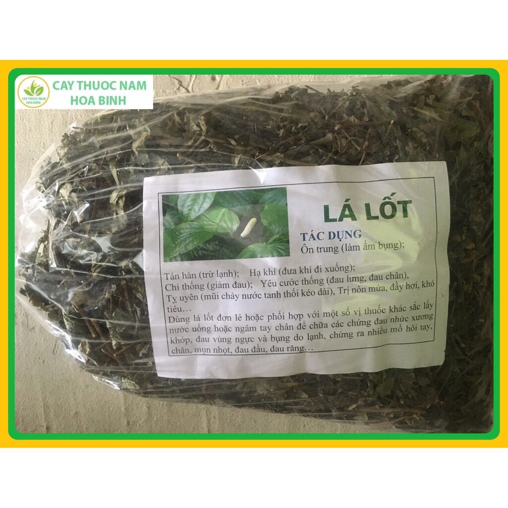1kg Lá Lốt phơi khô hàng sạch.thơm