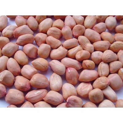 Hạt lạc - hạt đậu phộng sống hạt to gói 1kg
