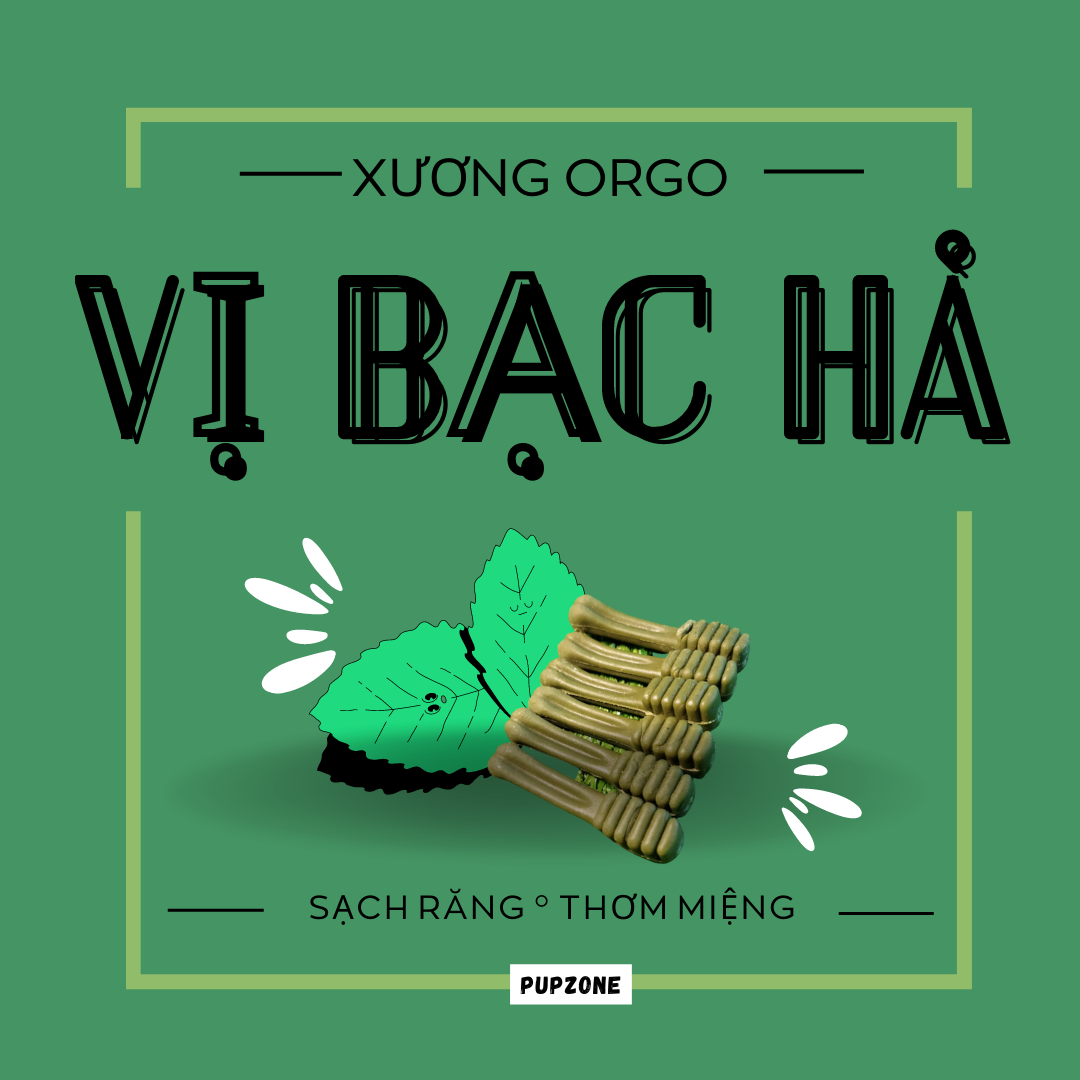 [Xả hàng] PupZone Xương Sạch Răng Orgo Cho Chó