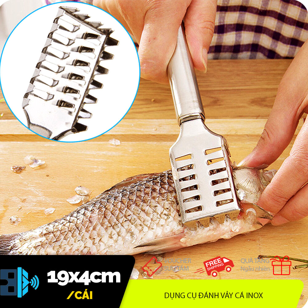 Dụng cụ đánh vẩy cá kim loại dài 20cm cán inox