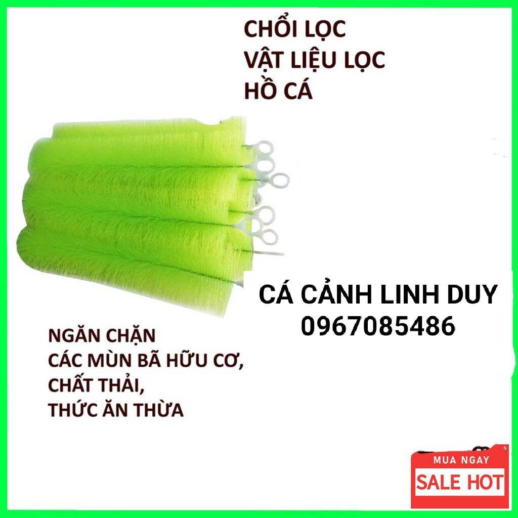 Chổi lọc xanh , lọc nước cho hồ cá 60cm