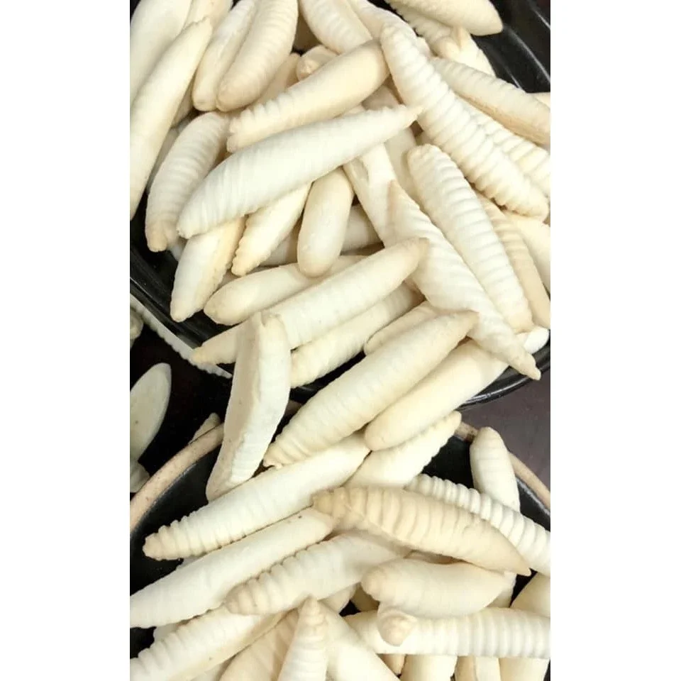 500g of Conch Cake 35K