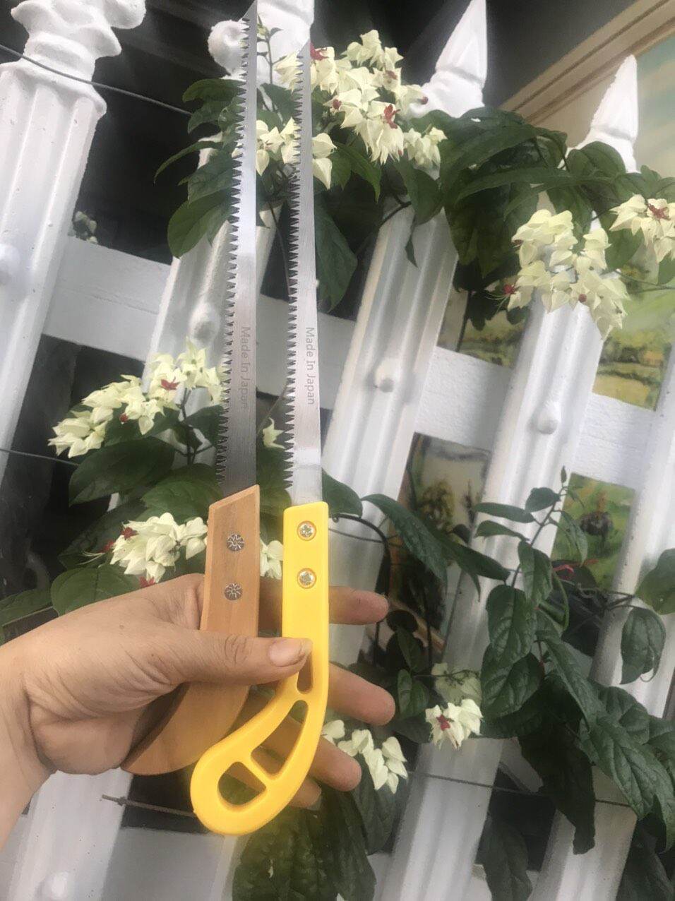 cưa lách bonsai siêu sắc bén