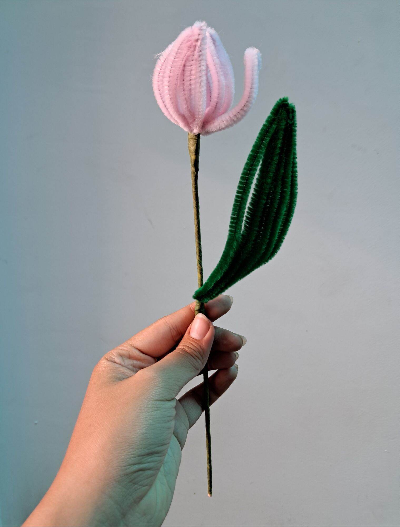 Hoa tulip bằng kẽm nhung