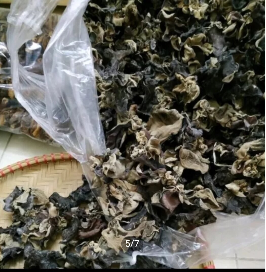 500g mộc nhĩ rừng Tây Bắc