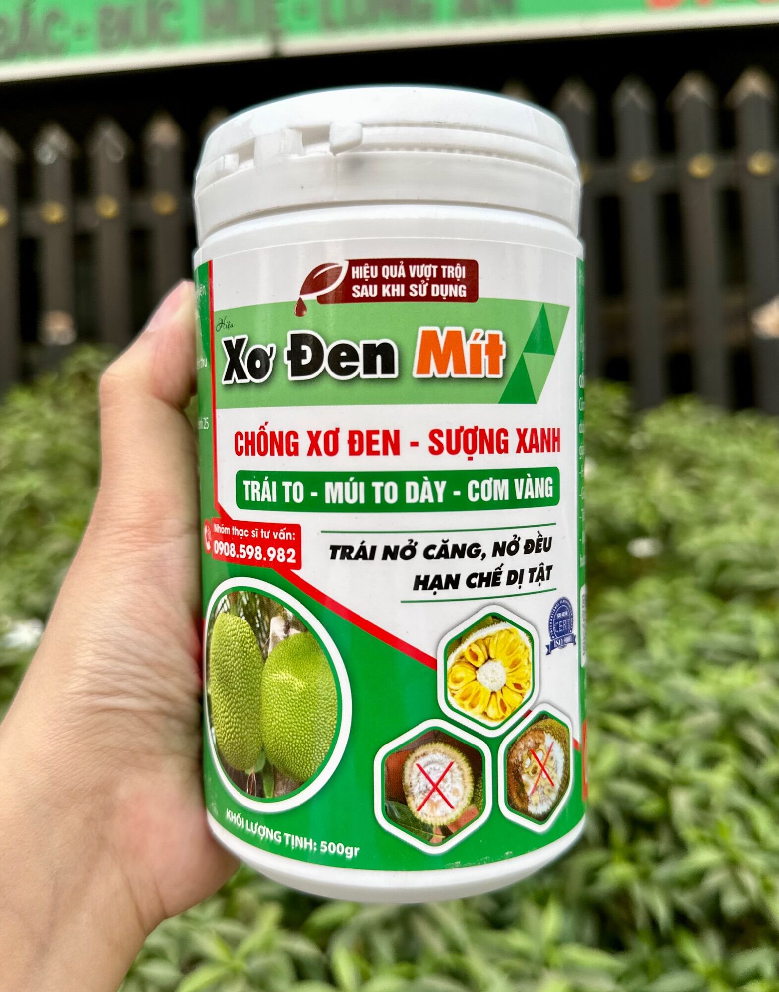 Xơ đen mít chống xơ đen sượng xanh trái to - múi to dày - cơm vàng - trái nở căng,nở đều - hạn chế dị tật