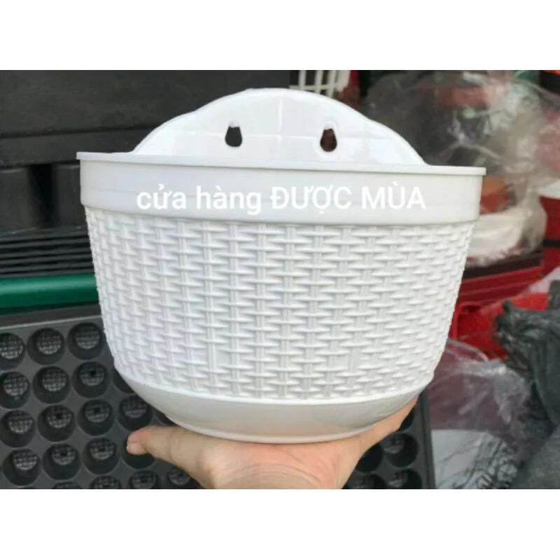 Chậu ốp tường treo tường đan mây, chậu trồng hoa trang trí 20x14cm