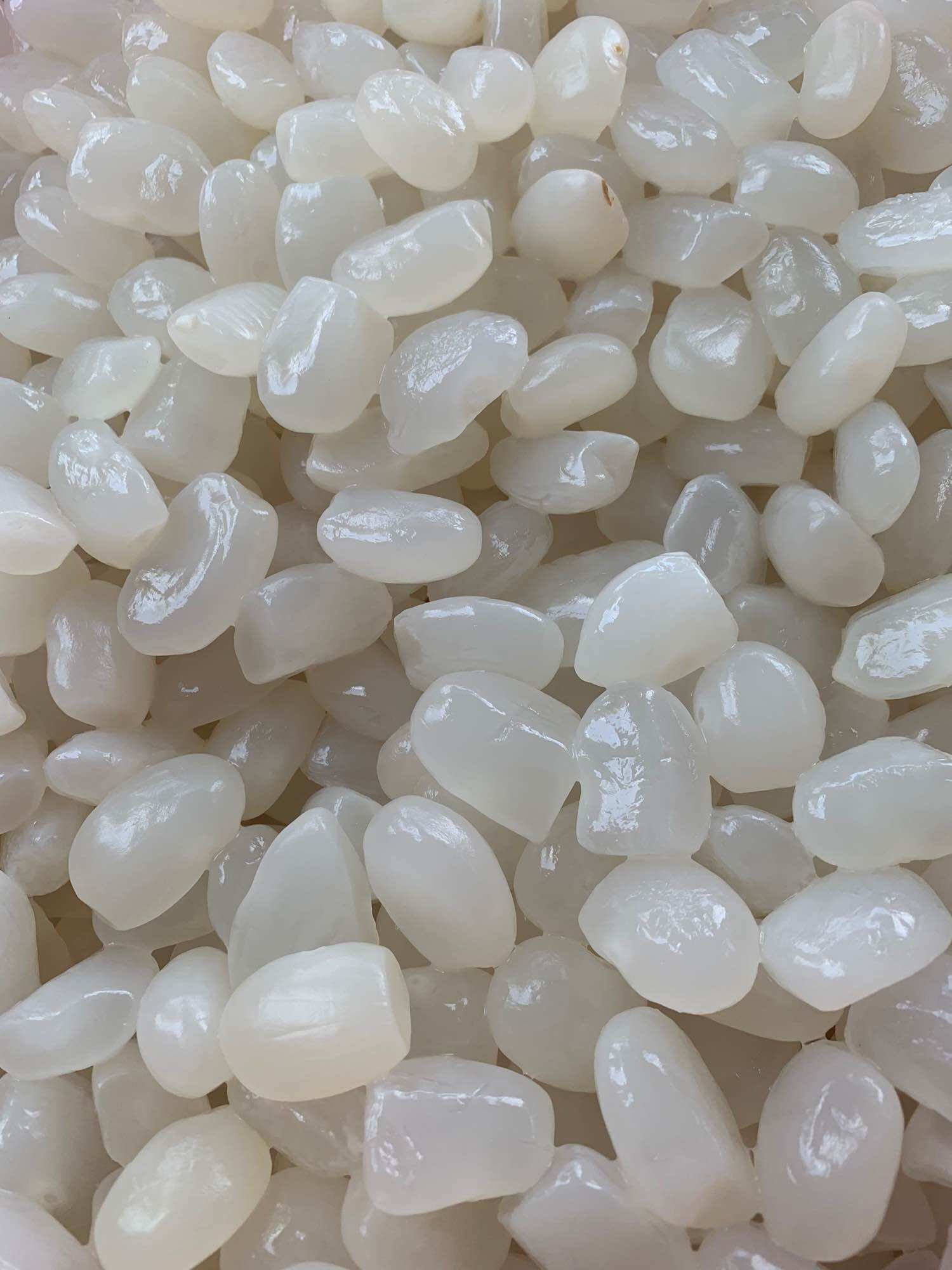 1kg hạt đác nha trang size to, mềm dẻo,ko cứng( có hút chân không)